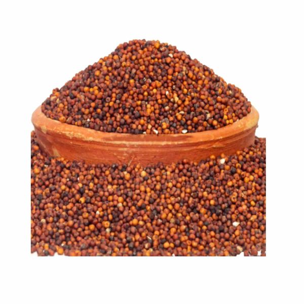 Finger Millet